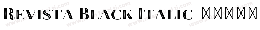 Revista Black Italic字体转换